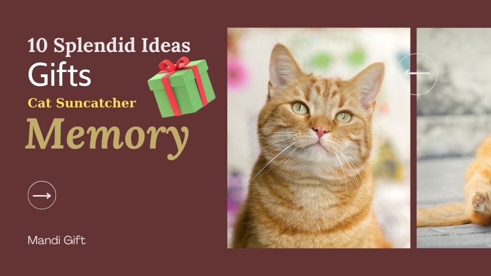 10 Splendid Ideas to Gift a Cat Suncatcher Memory